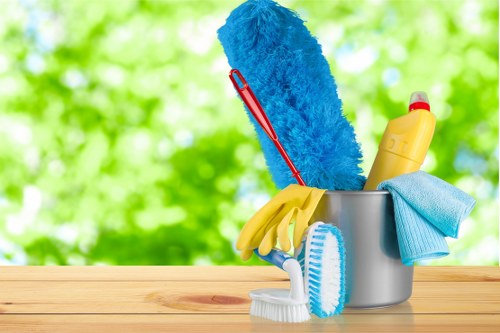 Illustration representing accessibility support for Richmond upon Thames cleaner services