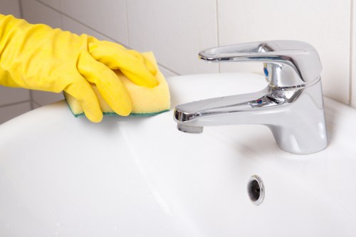 Sofa and upholstery cleaning service