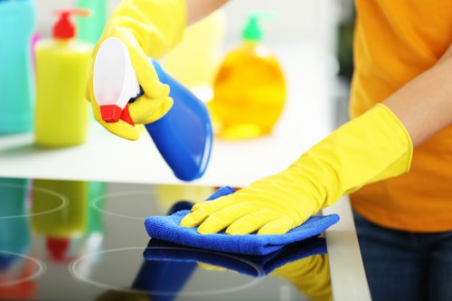 Cleaner preparing a property for final inspection in Richmonduponthames