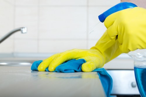 Bathroom sanitising as part of end of tenancy cleaning in Richmonduponthames