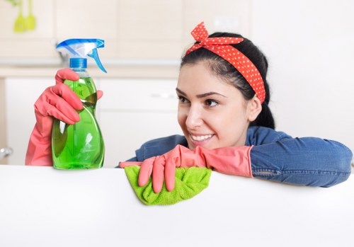 Deep upholstery cleaning process for a fabric sofa