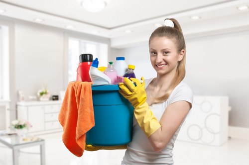 Richmonduponthames Cleaner service detail in a modern interior