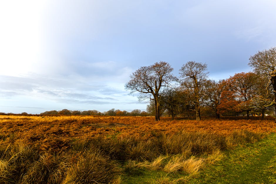 An outdoor scene featuring a group of five deer resting and standing on lush green grass under a large tree with vibrant green leaves. The deer include a mix of standing and lying down positions, with